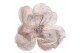 Magnolia with clip cream silver glitter
