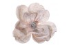 Magnolia with clip cream silver glitter