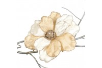 Magnolia flower on clip