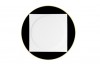 Pastry plate