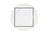 Dinner plate