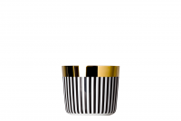 Sip of Gold CA'D'ORO Vertical Stripes